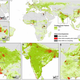 Red denotes places where expanding urban areas will compete with farmland. Image: Creutzig et. al, PNAS